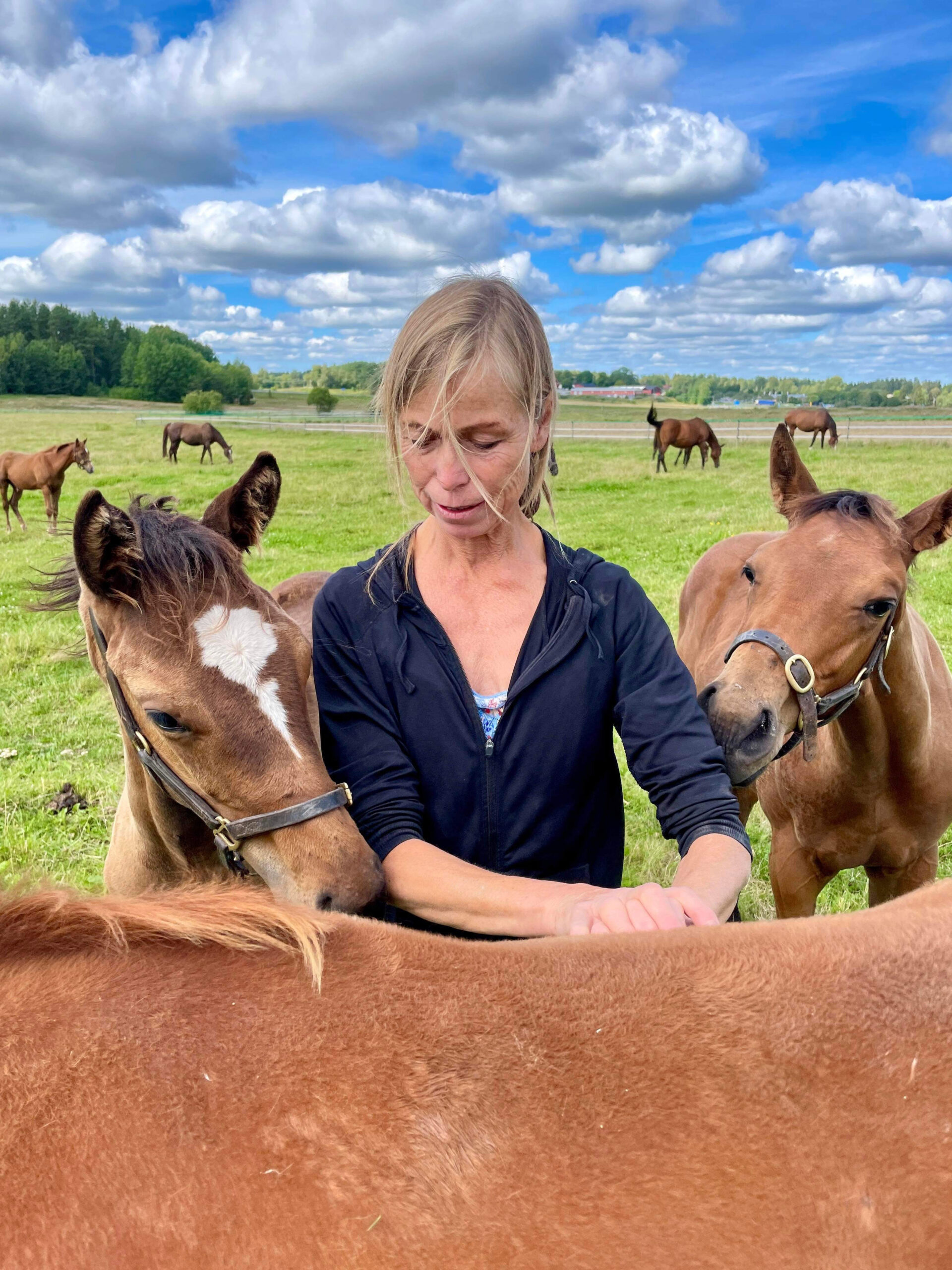 Axelsons animal massage kurser